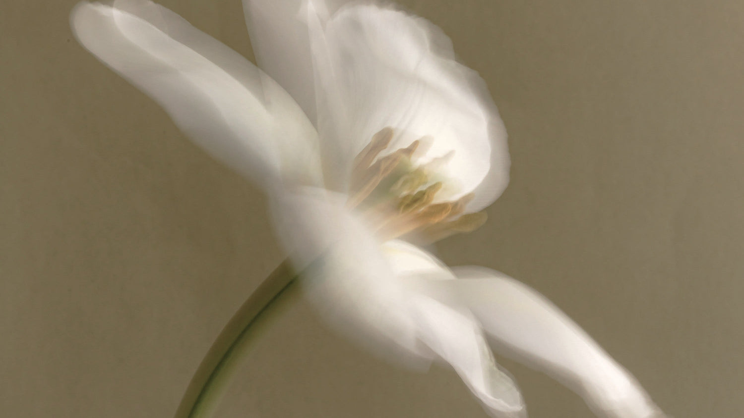 What Holds a Fragrance Together? The Role of Fixatives in Perfumery